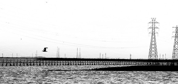 The Grid