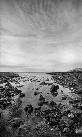 Fitzgerald Marine Reserve