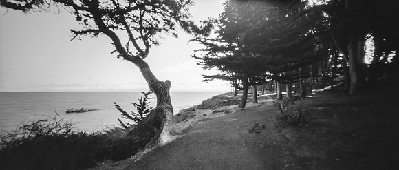The Bay Trail